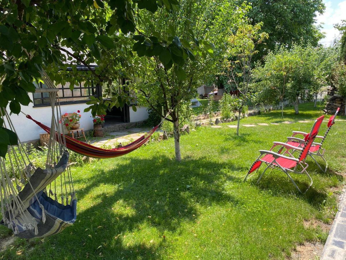 Hotel Agropa Garden à Prundul Birgaului Extérieur photo